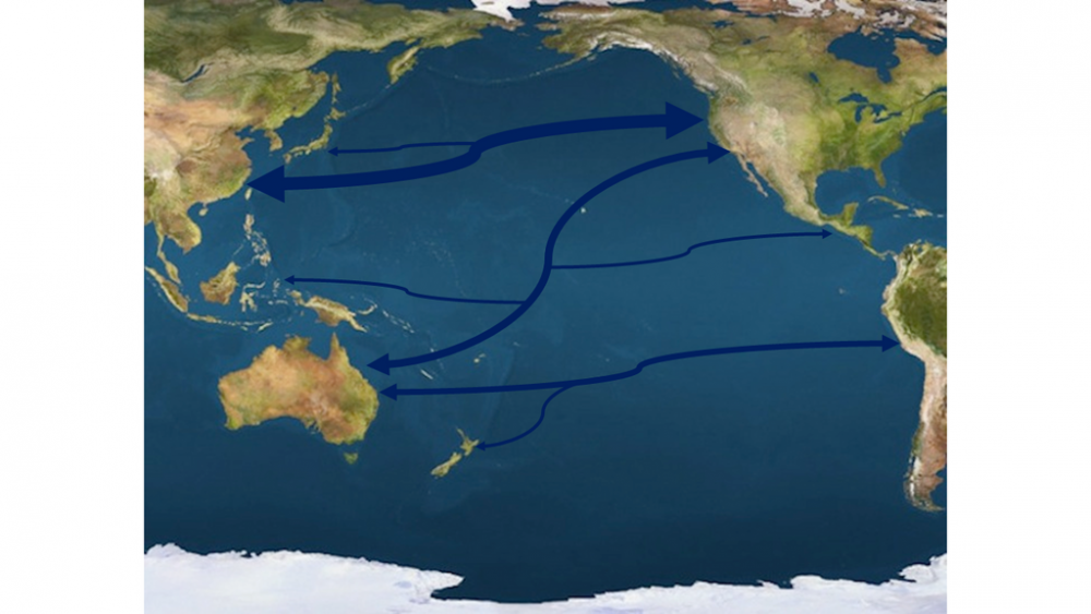 Trans-Pacific-Shipping-Routes-Map